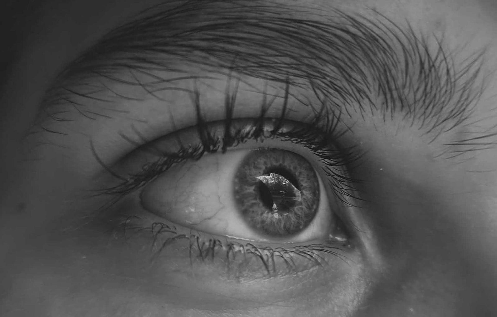 Primer plano de un ojo humano